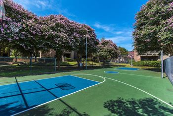 Basketball court